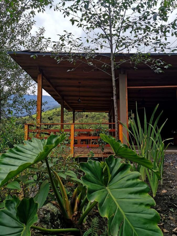 Goctamarca Lodge Cocachimba Exteriér fotografie