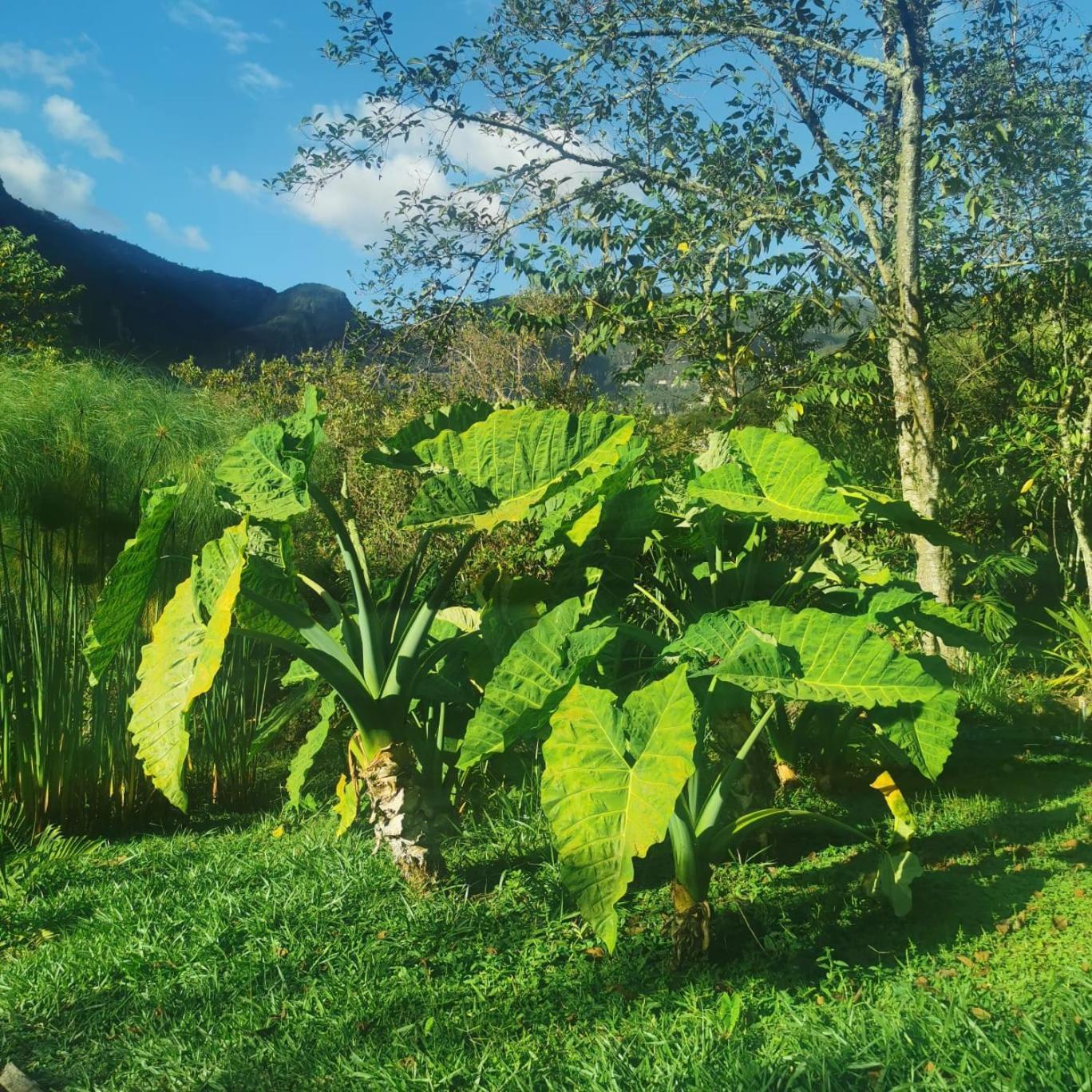 Goctamarca Lodge Cocachimba Exteriér fotografie